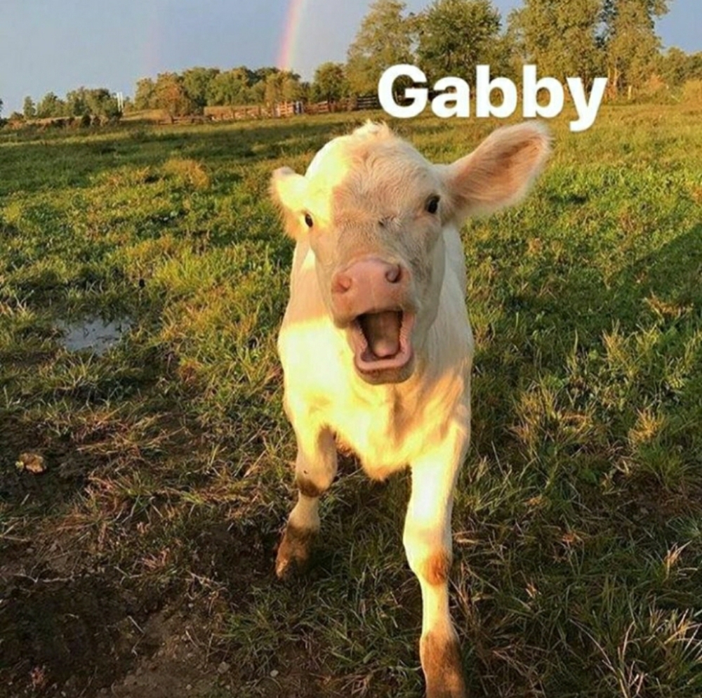 Meet your Posher, Gaby